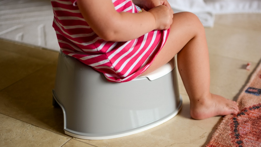 potty chair - each seat was put to the test in a real-life potty training journey.