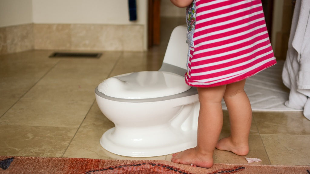 Potty Train Toilet, Toddler Potty Chair, Travel with Cushion, Real Feel  Potty