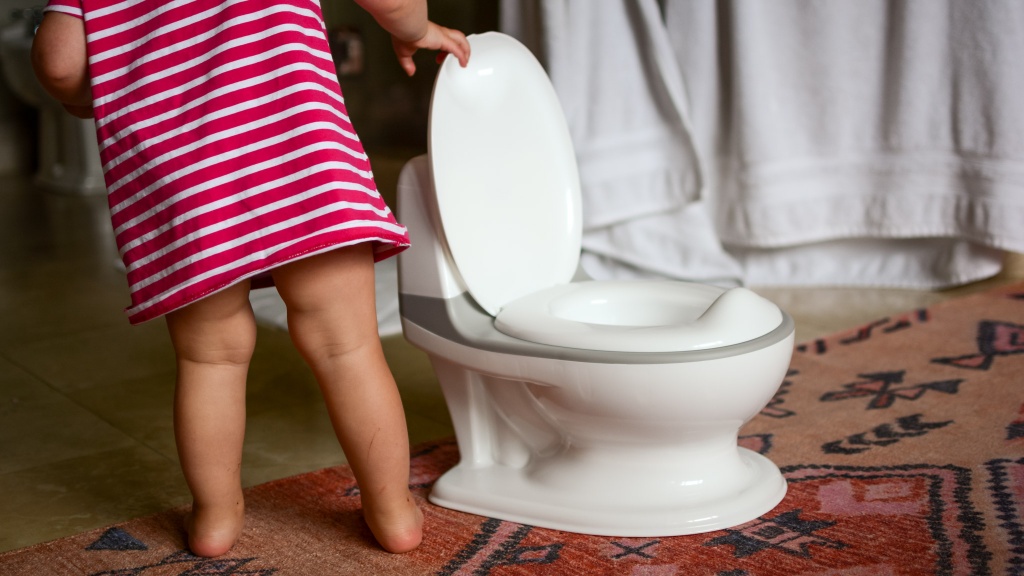 The 4 Best Potty Chairs