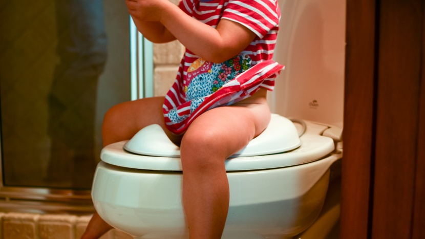potty chair - our tester felt secure and comfortable on the babybj&Atilde;&para;rn toilet...