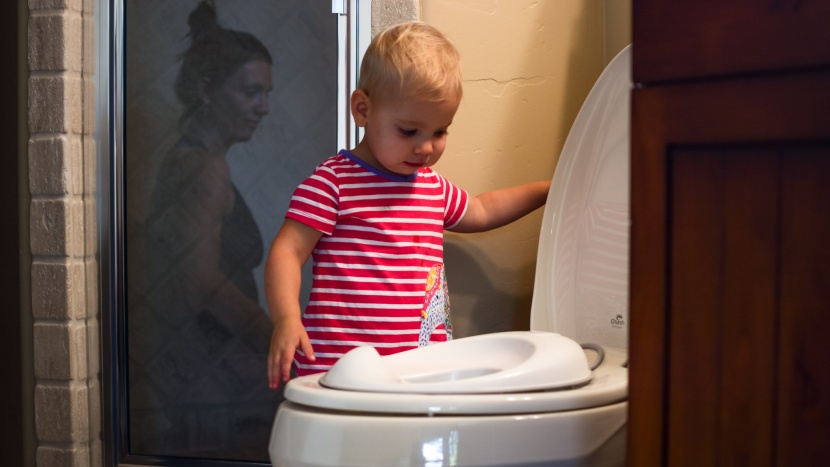 potty chair - two-year-old annie helped us assess ease-of-use.