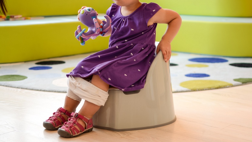 potty chair - the oxo tot is like the goldilocks of potty chairs; not too big, not...