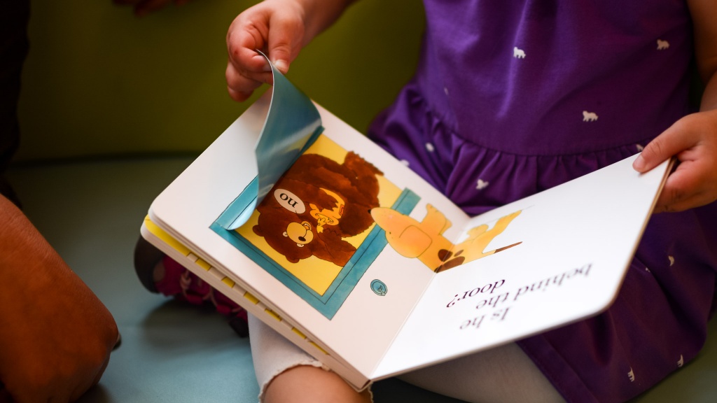 toddler books - books with flaps are fun and entertaining for younger children.