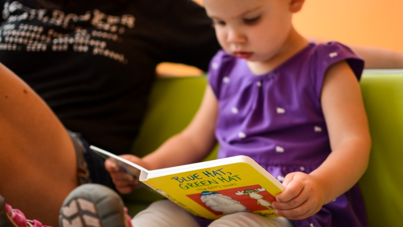toddler books - blue hat, green hat is a quick, funny read.
