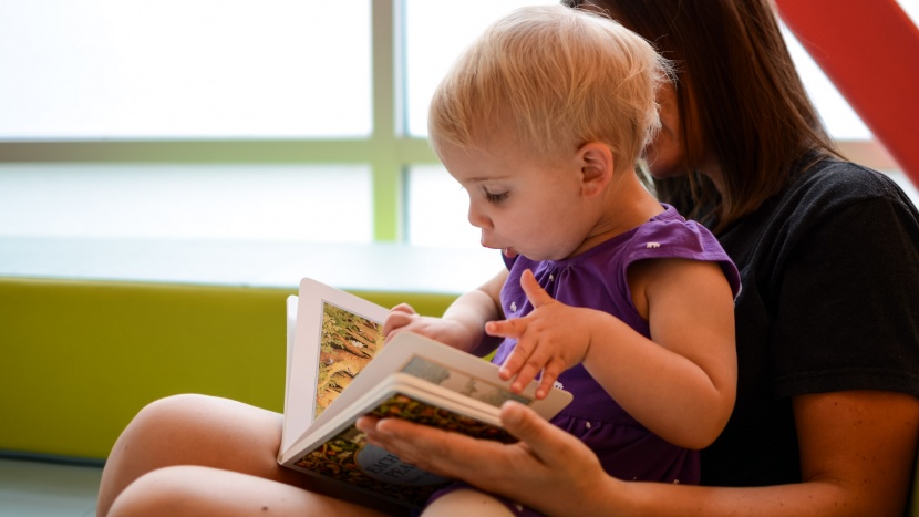 toddler books - each peach pear plum is a classic story with mother goose characters...