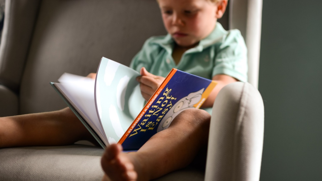 kids books - we love the famous duo, elephant and piggie, and if you like it too...