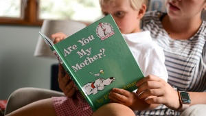 We suggest creating a reading space that is inviting and comfortable.