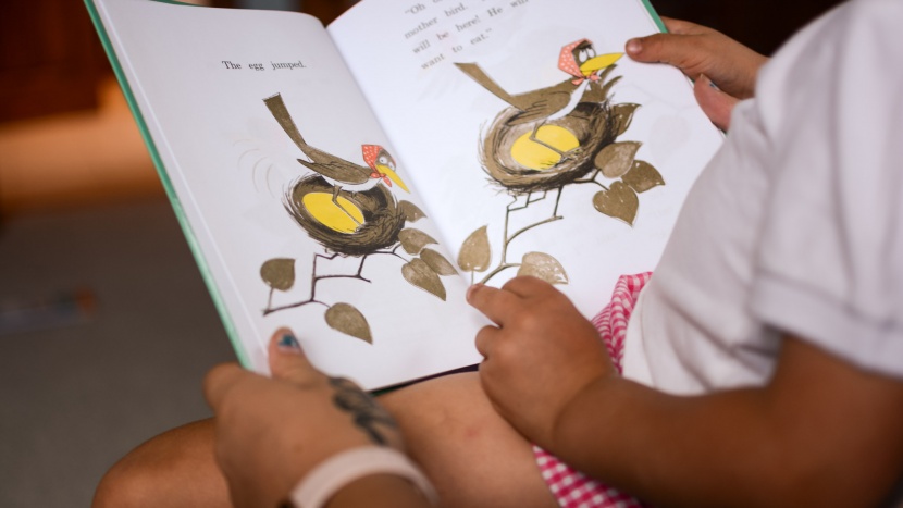 childrens books - &quot;are you my mother?&quot; is a classic and timeless book with a simple...