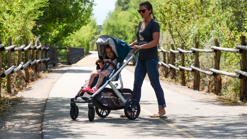 full size stroller - the vista v2 has several features for comfort, including a padded...