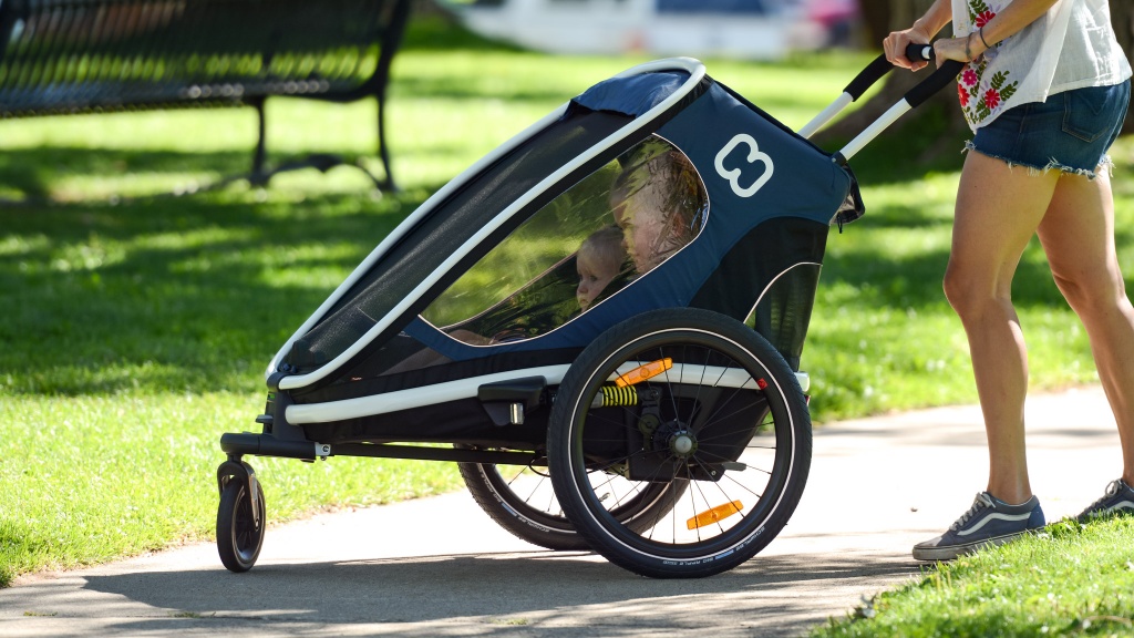 double stroller - the outback is a useful bike trailer/stroller that has a lower price...