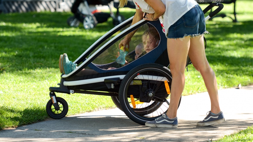 hamax outback - the outback 2020 offers impressive quality for the price compared to...