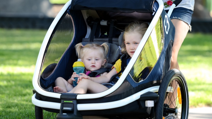 hamax outback - the hamax has 2 seats but they recline as one, so both will be at...