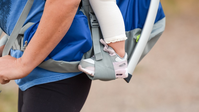 thule sapling elite - the elite stirrups are height adjustable for a custom fit for...