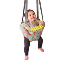 evenflo exersaucer doorway jumper
