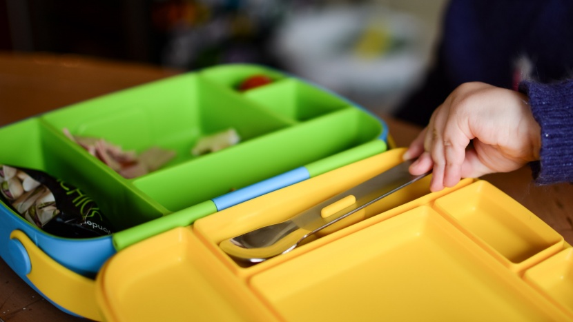 kids lunch box - the munchkin lunch bento box is the only contender that includes...