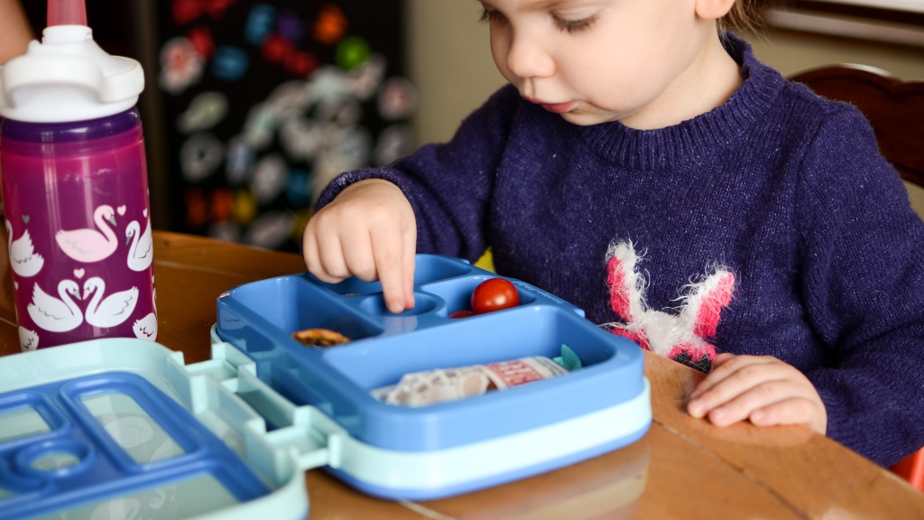 The 3 Best Lunch Boxes for Kids