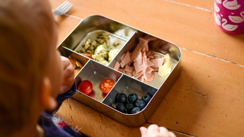 The Best Kids Lunch Gear, According to the Experts