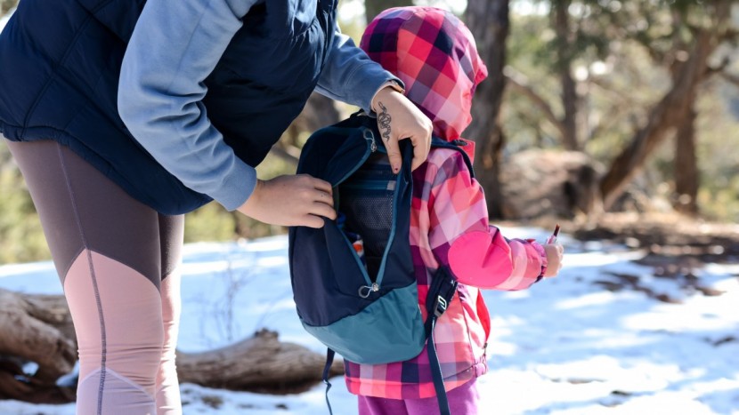 the day pack that comes with the pro can be worn by parents or...