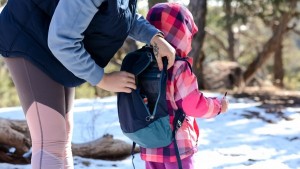 The day pack that comes with the Pro can be worn by parents or...