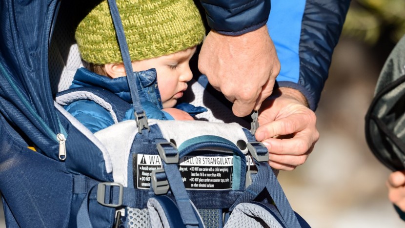 the pro's canopy is easy to use and quick to open and secure.
