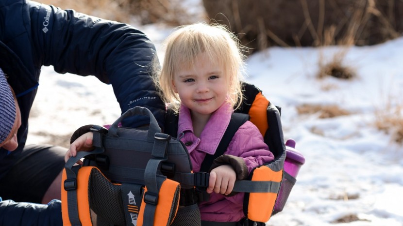 luvdbaby premium - the luvdbaby isn&#039;t the easiest to use, but compared to the...