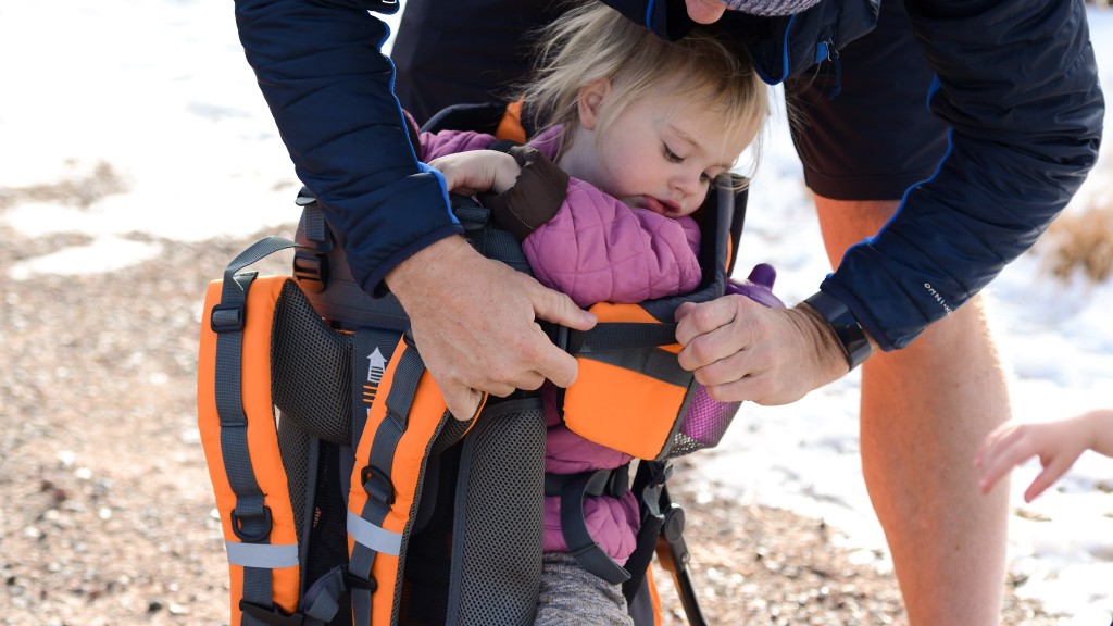 Luvdbaby cheap backpack carrier