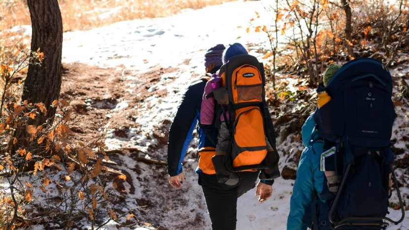 baby backpack - if you&#039;re willing to deal with a few trade-offs, the luvdbaby...