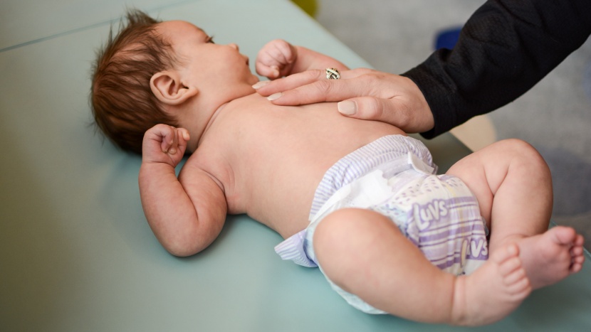 luvs - luvs diapers may run a bit small compared to other brands, so you...