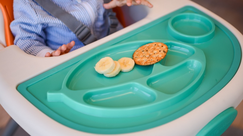 high chair - there is much to love about skipping the need for dishes if you use...