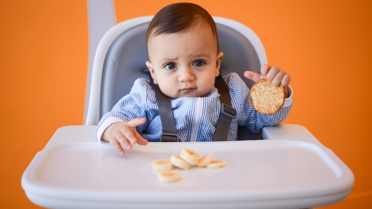 Best Feeding Gear for Babies and Toddlers of 2024