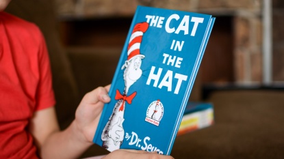 Lead photo for Best Dr. Seuss Books for Kids Set