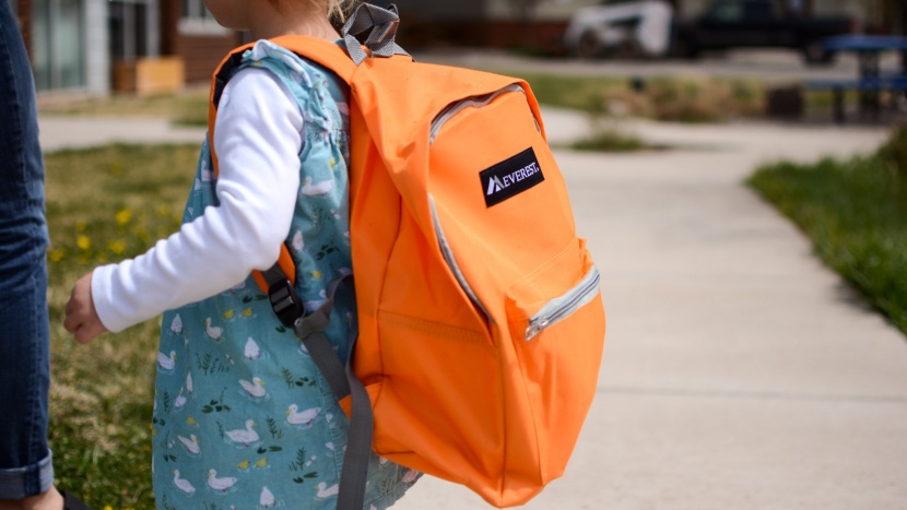 kids backpack - the everest basic may appeal to those willing to sacrifice some...