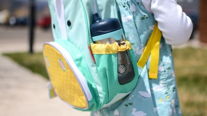 Lead photo for Great First Backpack for Toddlers