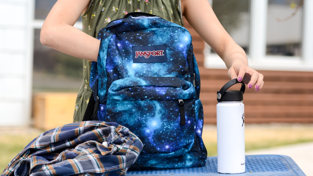 Jansport little kid backpacks sale