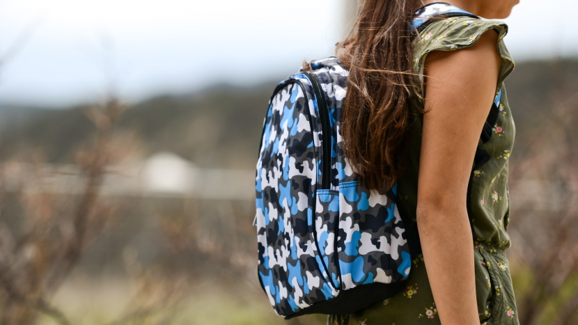 kids backpack - although comfortable to wear, the wildkin may be too small for big...