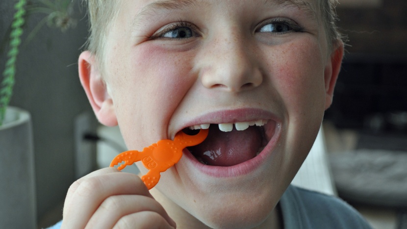 kids flossers - the minlan kids dental floss is harder to use as the odd shapes make...