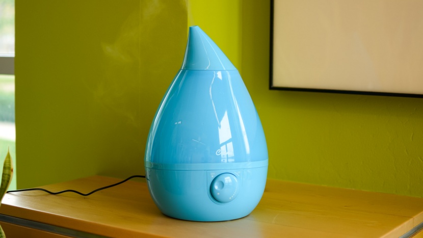 humidifier - the crane drop is one of the quietest options in the group.