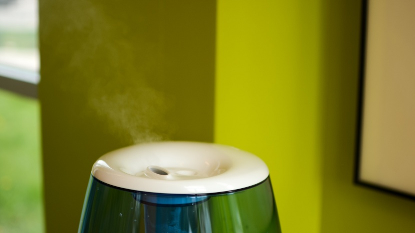 vicks filter free - the amount of humidity created by the vicks is low at the beginning...