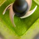 Button for slide 1