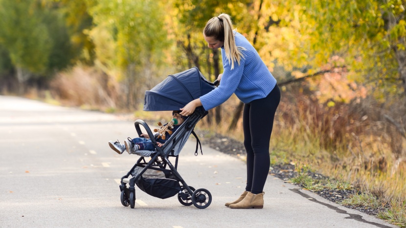 travel stroller - the quid has a really nice canopy for passenger comfort.