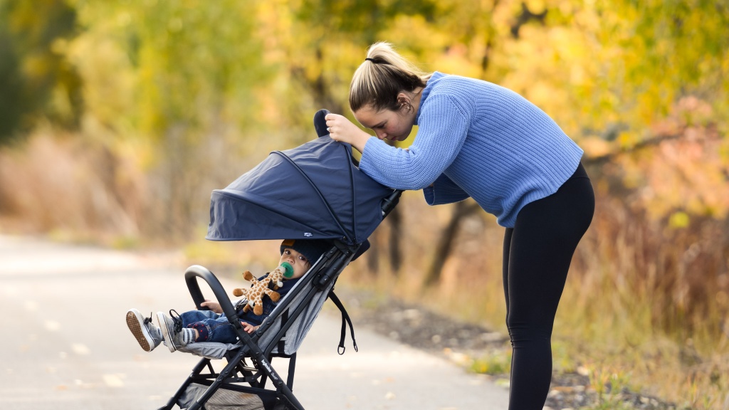 Inglesina Quid Lightweight Stroller – Swaddles Baby