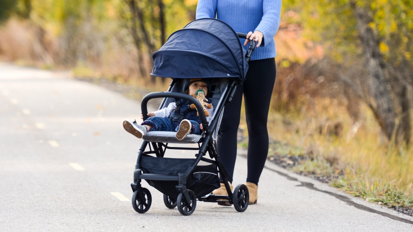 inglesina quid - the quid is a middle-of-the-road stroller that will neither impress...
