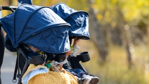 The canopies on the Twin+ are some of the largest on any double...