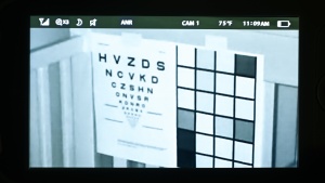 Zoom works well with the Pro providing clarity on the test and color...