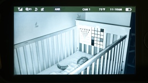 The night vision of the Pro isn't the worst, but it really isn't the...