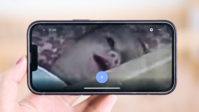 zooming in on the nest cam offers a clear visual of the baby's awake...
