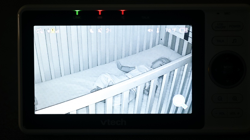 some details are lost in the night video, like the elephants on the...