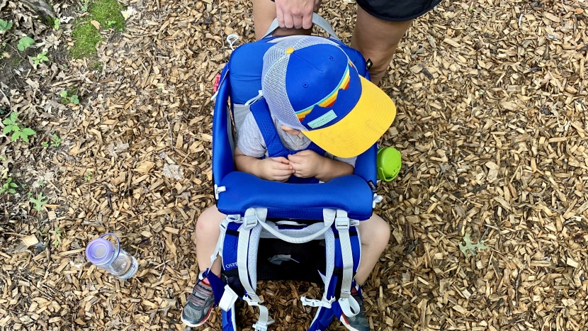 osprey poco - the child cockpit, including the harness, is plush, soft, and cozy...