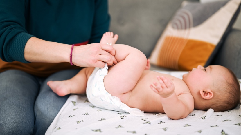 kirkland signature - the kirkland signature scored well in most metrics and high overall.