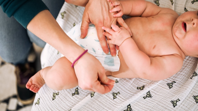 kirkland signature - there is much to like about the kirkland traditional disposable...